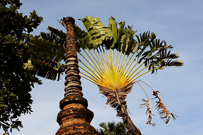 Wat Yai Chai Monkon-033